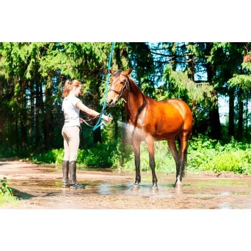 3/4 Inch x 100 Foot Hot Water Rubber Water Hose with GHT Fittings C12509
