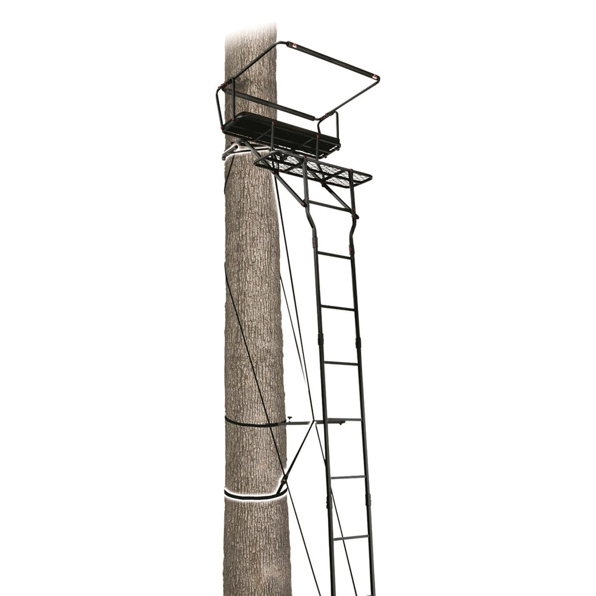 15’ Two-Person Ladder Tree Stand W4783