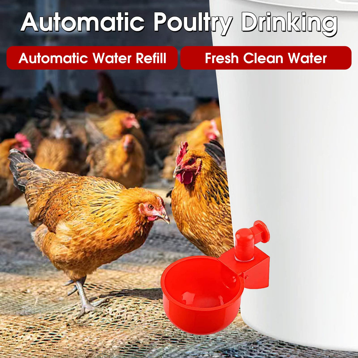 Automatic Poultry Waterer Drinking Bowl W408110