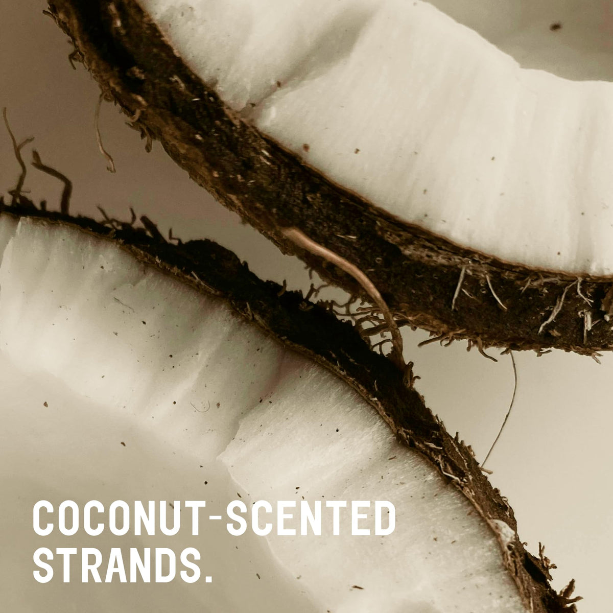 Toasted Coconut Shampoo Conditioner Set, Vegan, Sulfate Free, 20 Fl Oz Z662