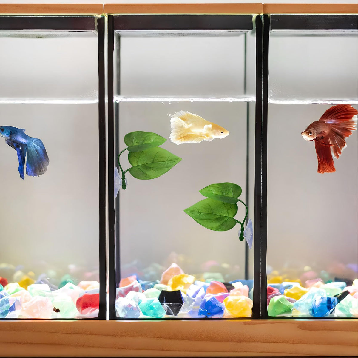 Betta Fish Leaf Hammock, 2 PCS Aquarium Decor K8010