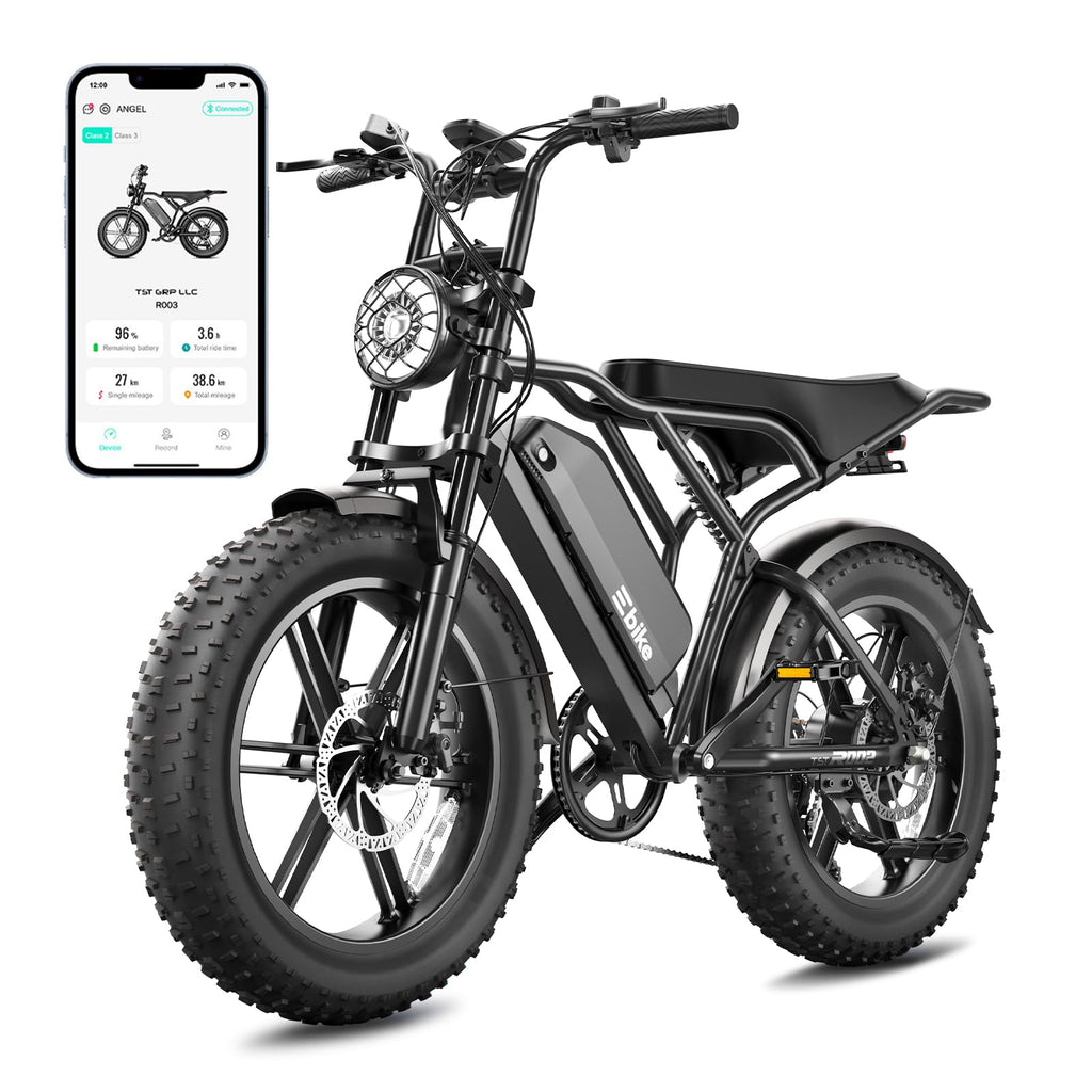 Electric Bike 48V 2000W Motor P5205