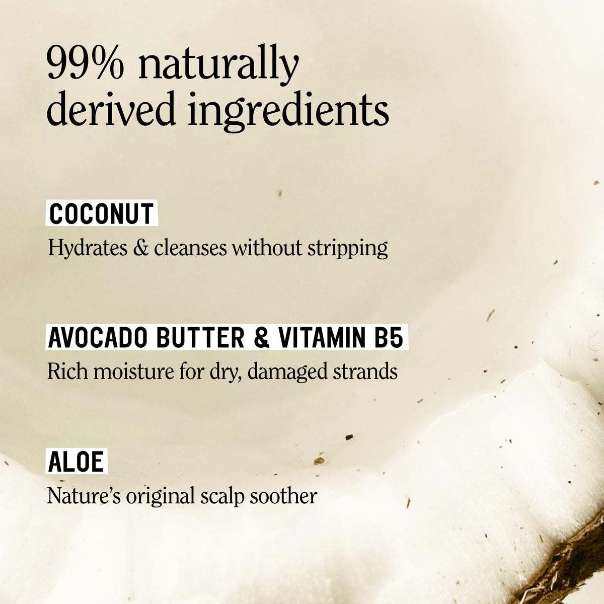 Toasted Coconut Shampoo Conditioner Set, Vegan, Sulfate Free, 20 Fl Oz Z662