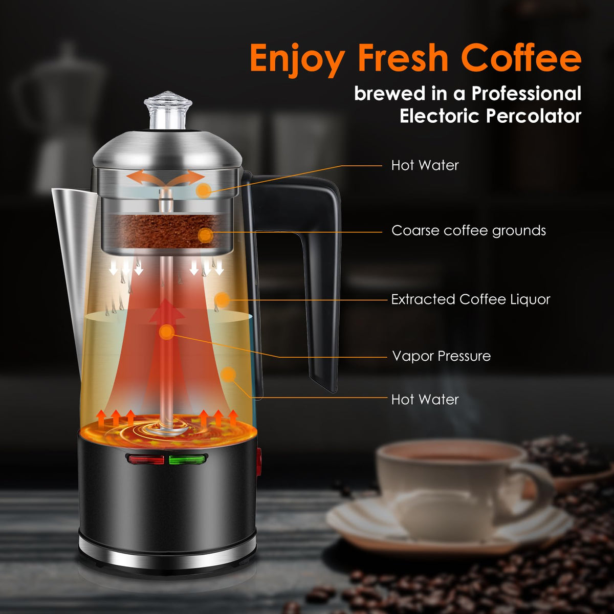 800W Stainless Steel Electric Coffee Percolator 12 Cups N63672
