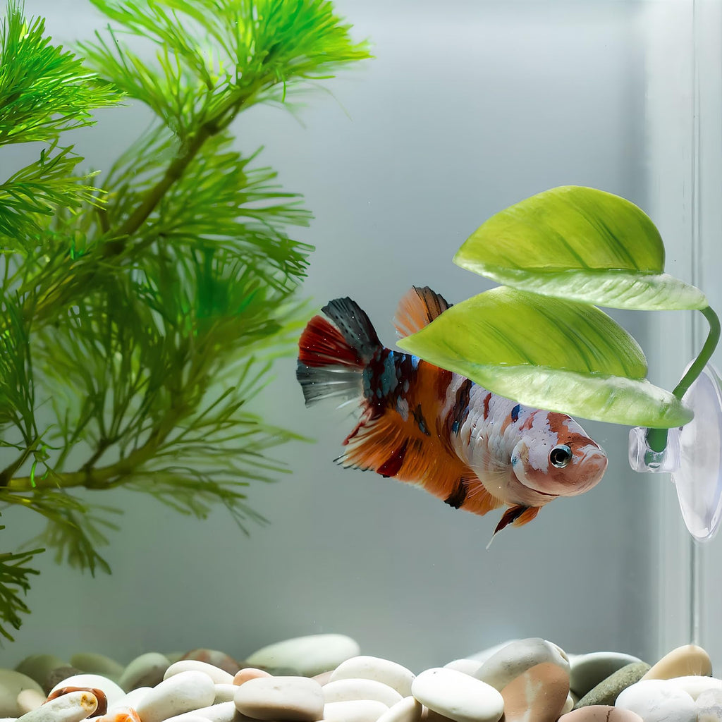 Betta Fish Leaf Hammock, 2 PCS Aquarium Decor K8010