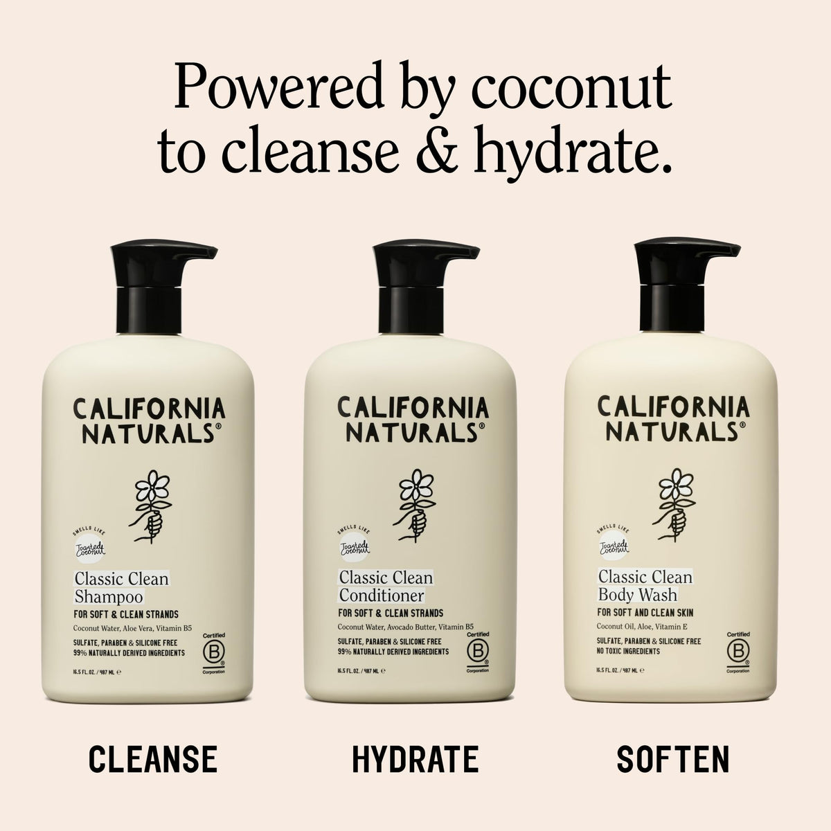 Toasted Coconut Shampoo Conditioner Set, Vegan, Sulfate Free, 20 Fl Oz Z662
