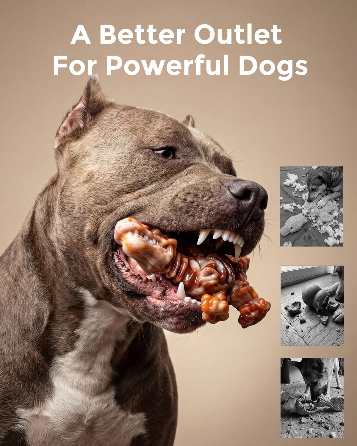 2-Pack Tough Dog Chew Toys M34328
