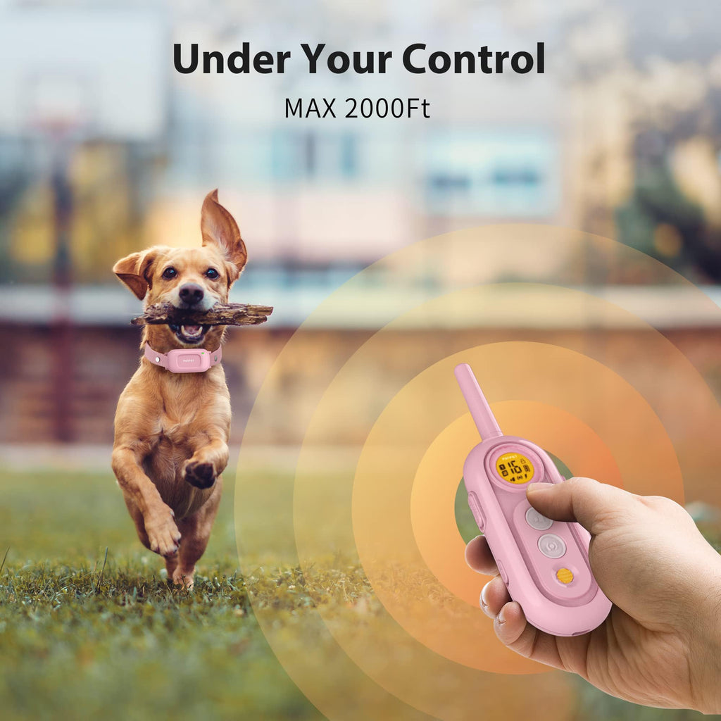 Rechargeable IPX7 Waterproof Dog Training Collar with Remote H4445