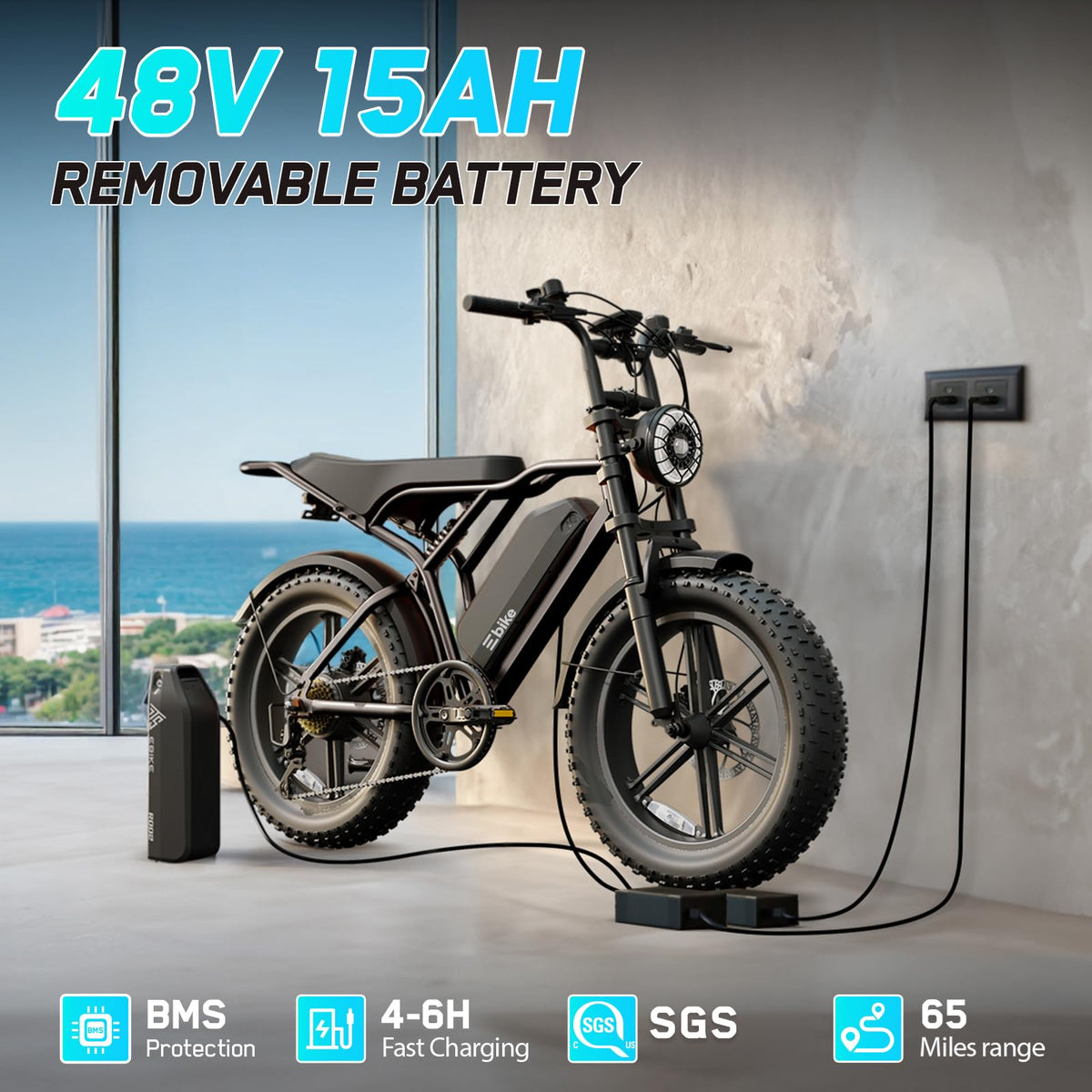 Electric Bike 48V 2000W Motor P5205