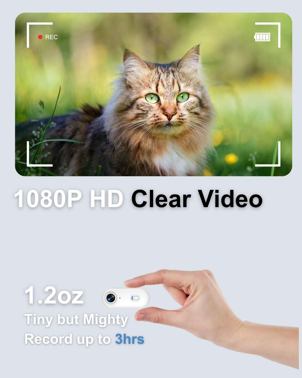 Camera Collar with Phone App & Tracker Tag C222
