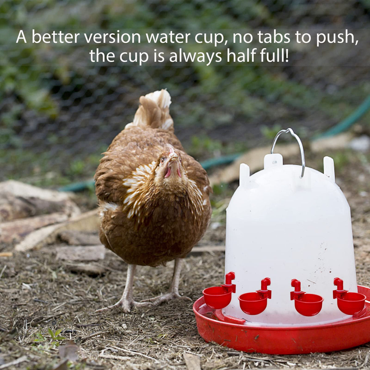 Automatic Poultry Waterer Drinking Bowl W408110