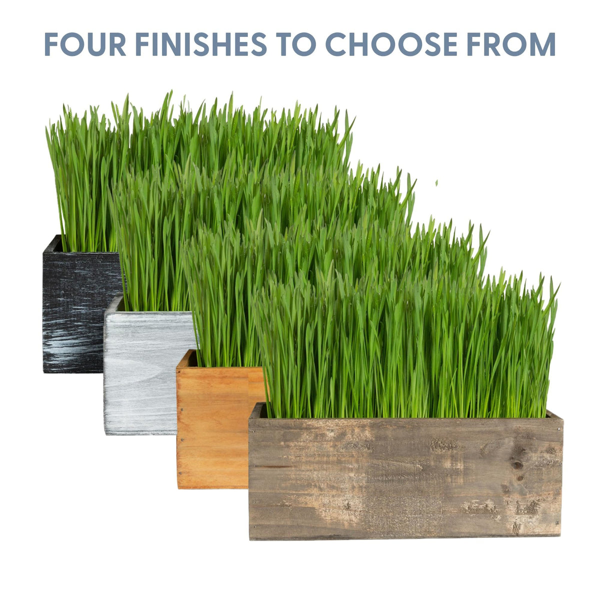 Cat Grass Kit with Wood Planter, Organic Seed and Soil N523