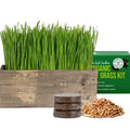 Cat Grass Kit with Wood Planter, Organic Seed and Soil N523