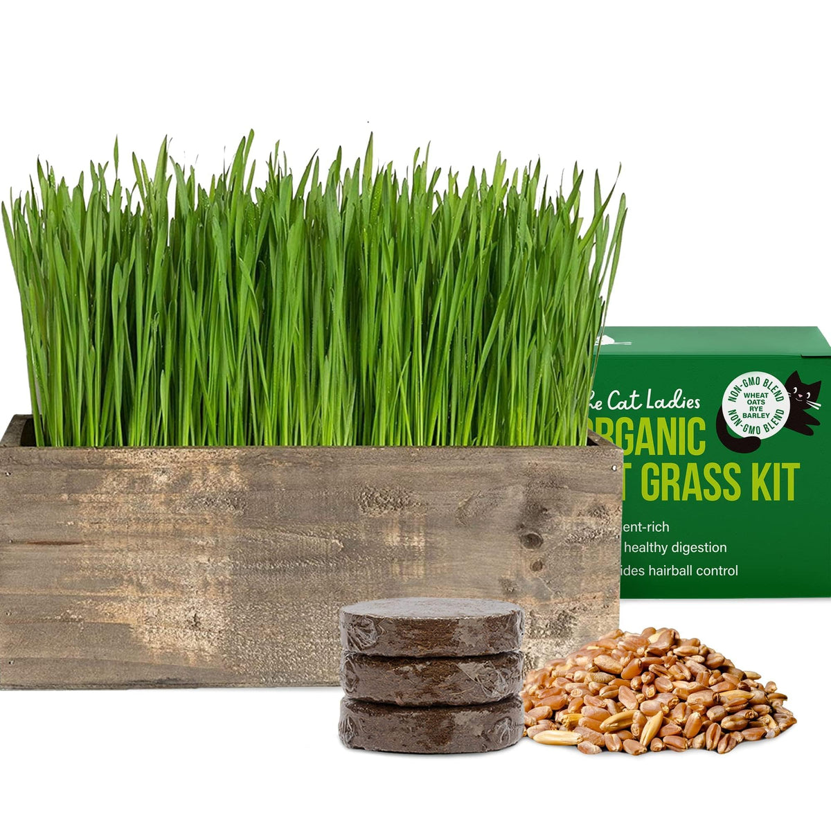 Cat Grass Kit with Wood Planter, Organic Seed and Soil N523