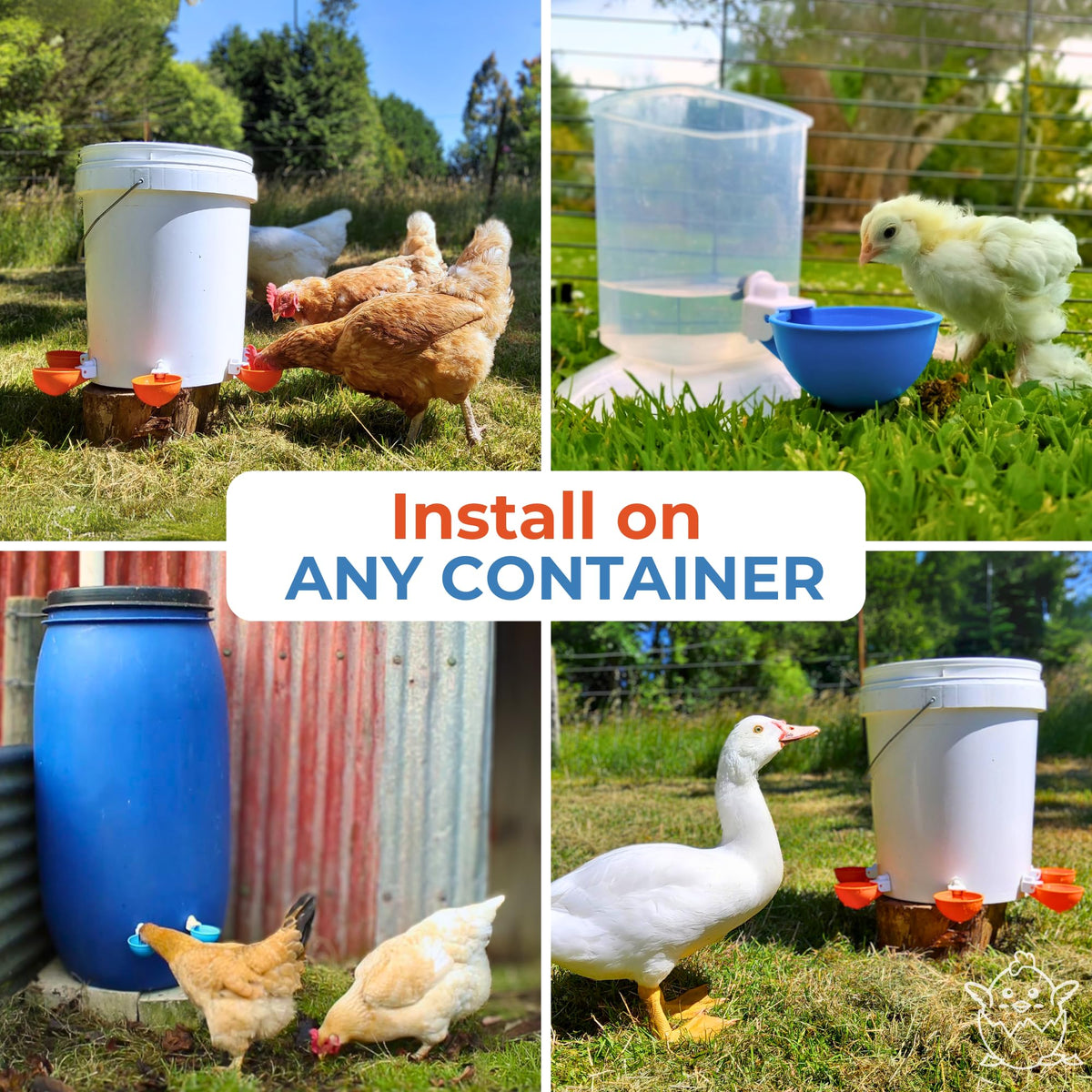 Large Automatic Chicken Waterer Cups 5-Pack K6675
