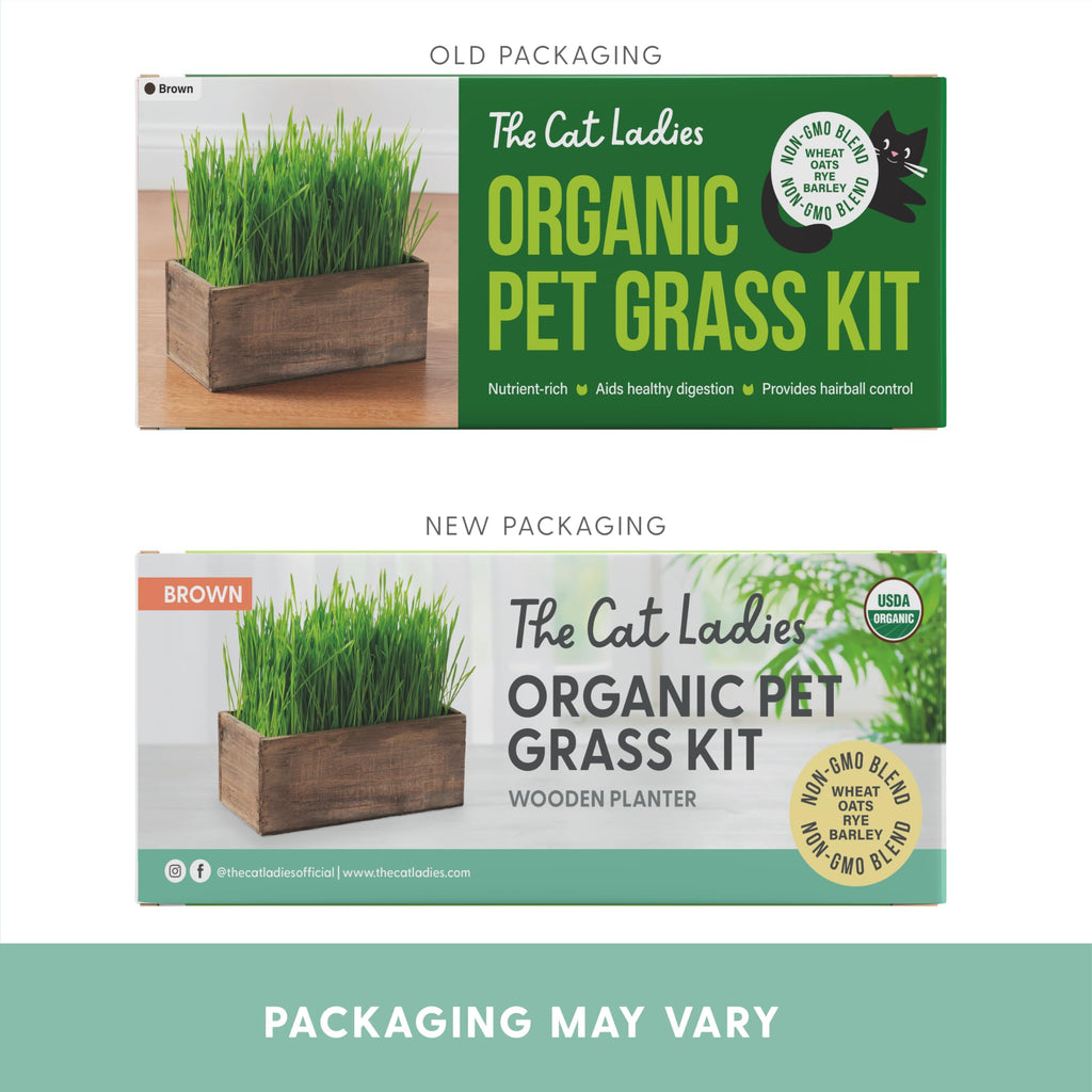 Cat Grass Kit with Wood Planter, Organic Seed and Soil N523