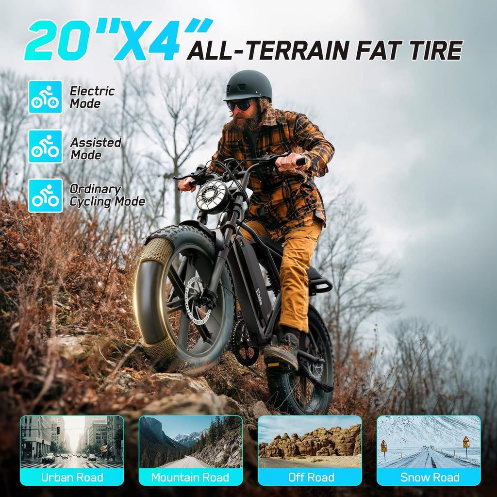 Electric Bike 48V 2000W Motor P5205