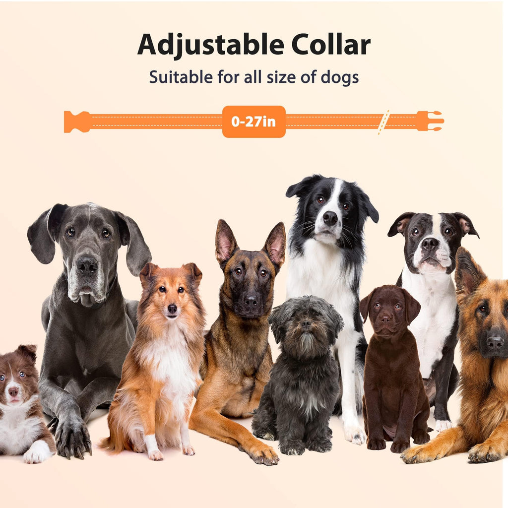 Rechargeable IPX7 Waterproof Dog Training Collar with Remote H4445