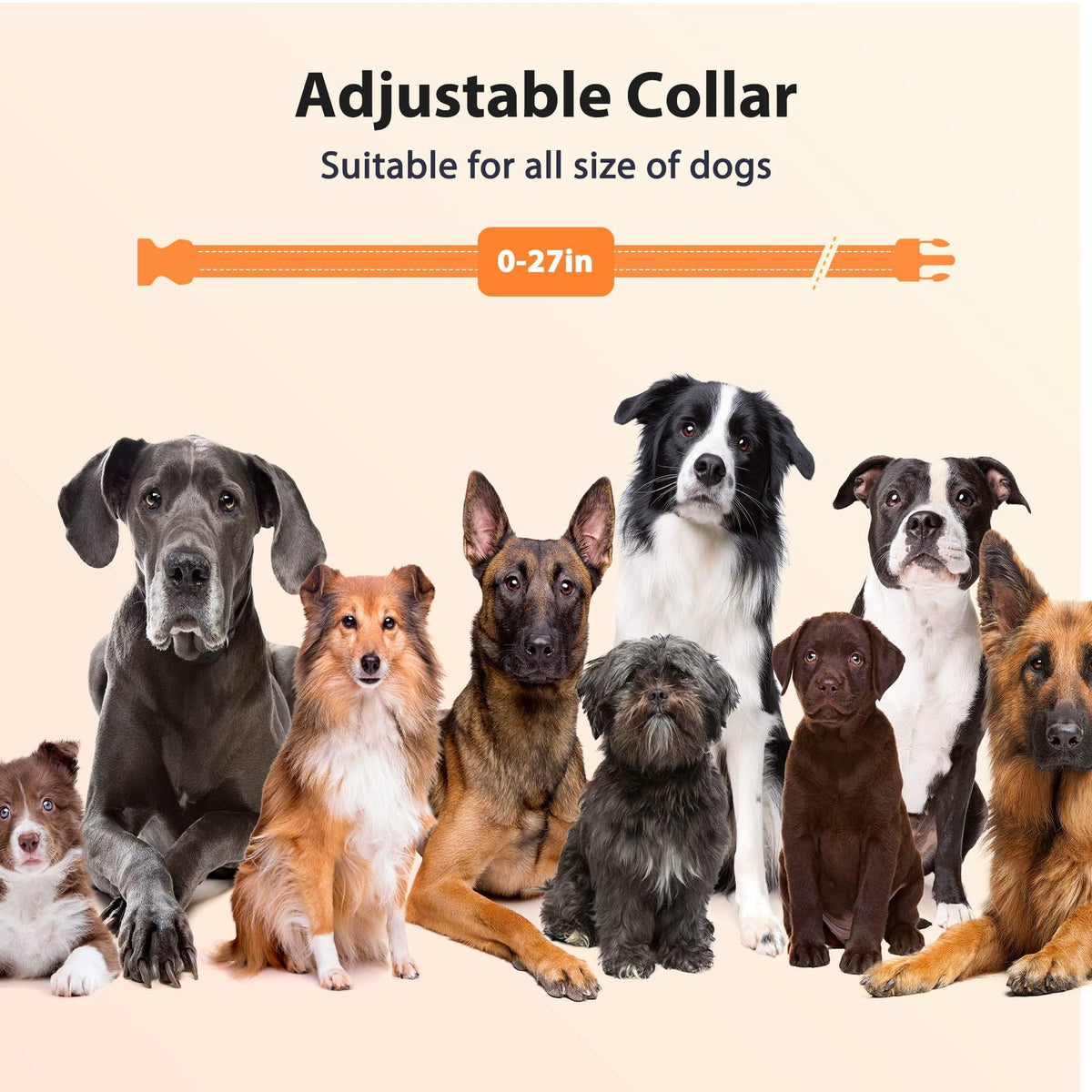 Rechargeable IPX7 Waterproof Dog Training Collar with Remote H4445