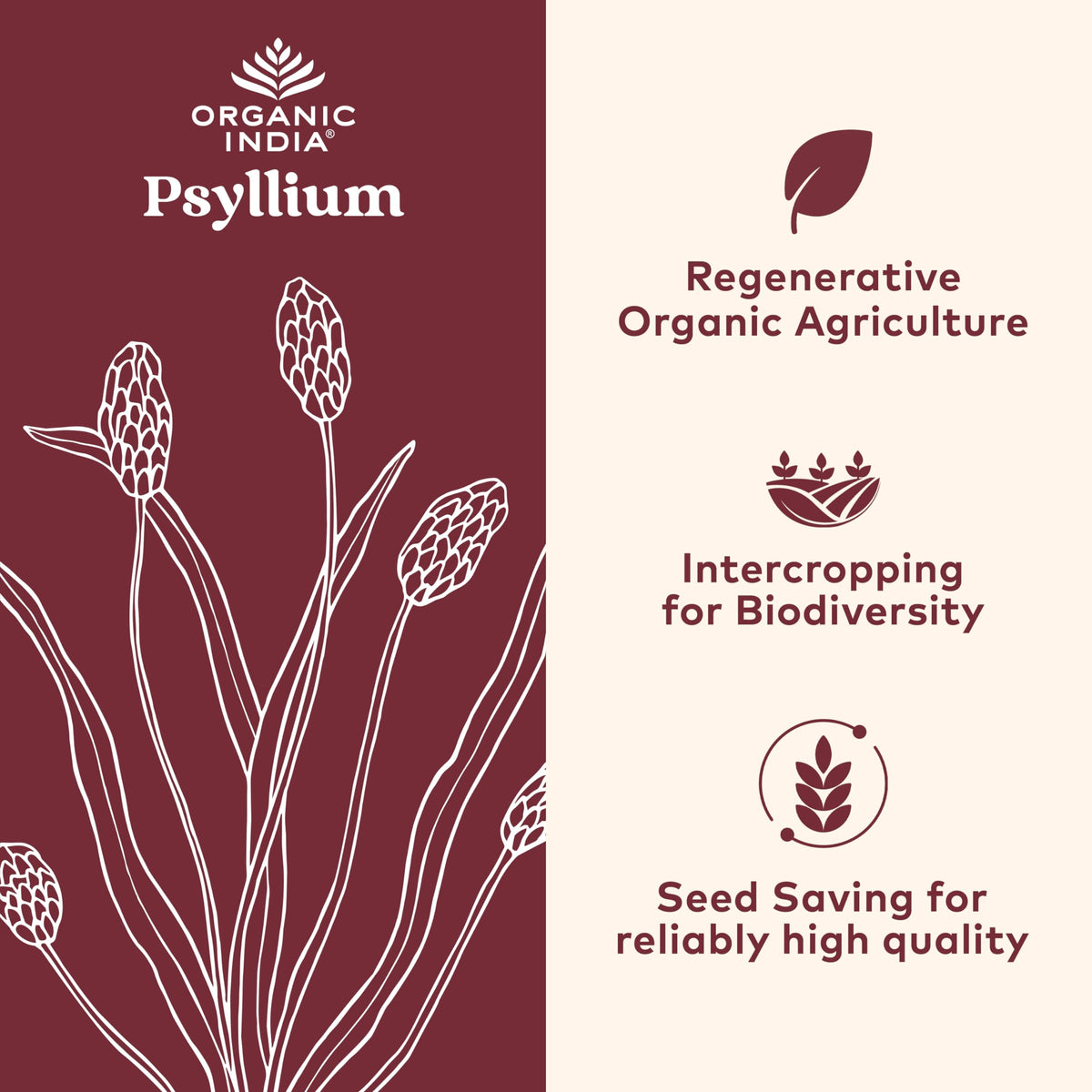Psyllium Husk Capsules Fiber Supplement Vegan 180 Count A59828