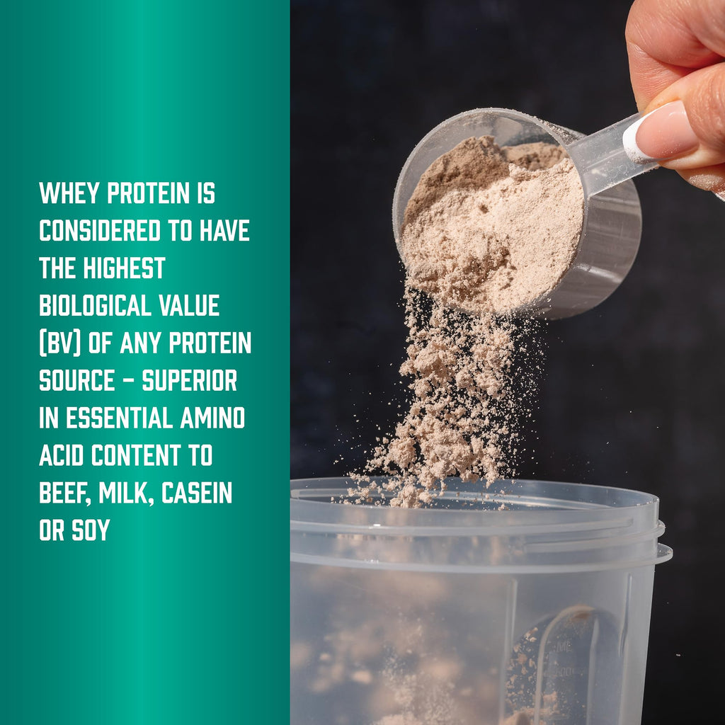 Whey Protein Isolate 25 g With BCAAs Chocolate 5 lbs X3072