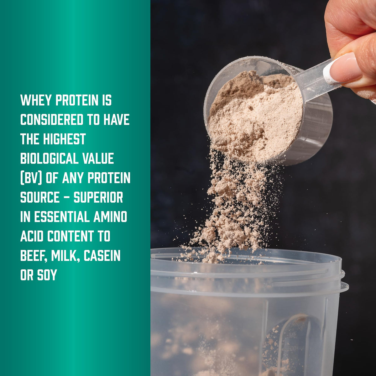 Whey Protein Isolate 25 g With BCAAs Chocolate 5 lbs X3072