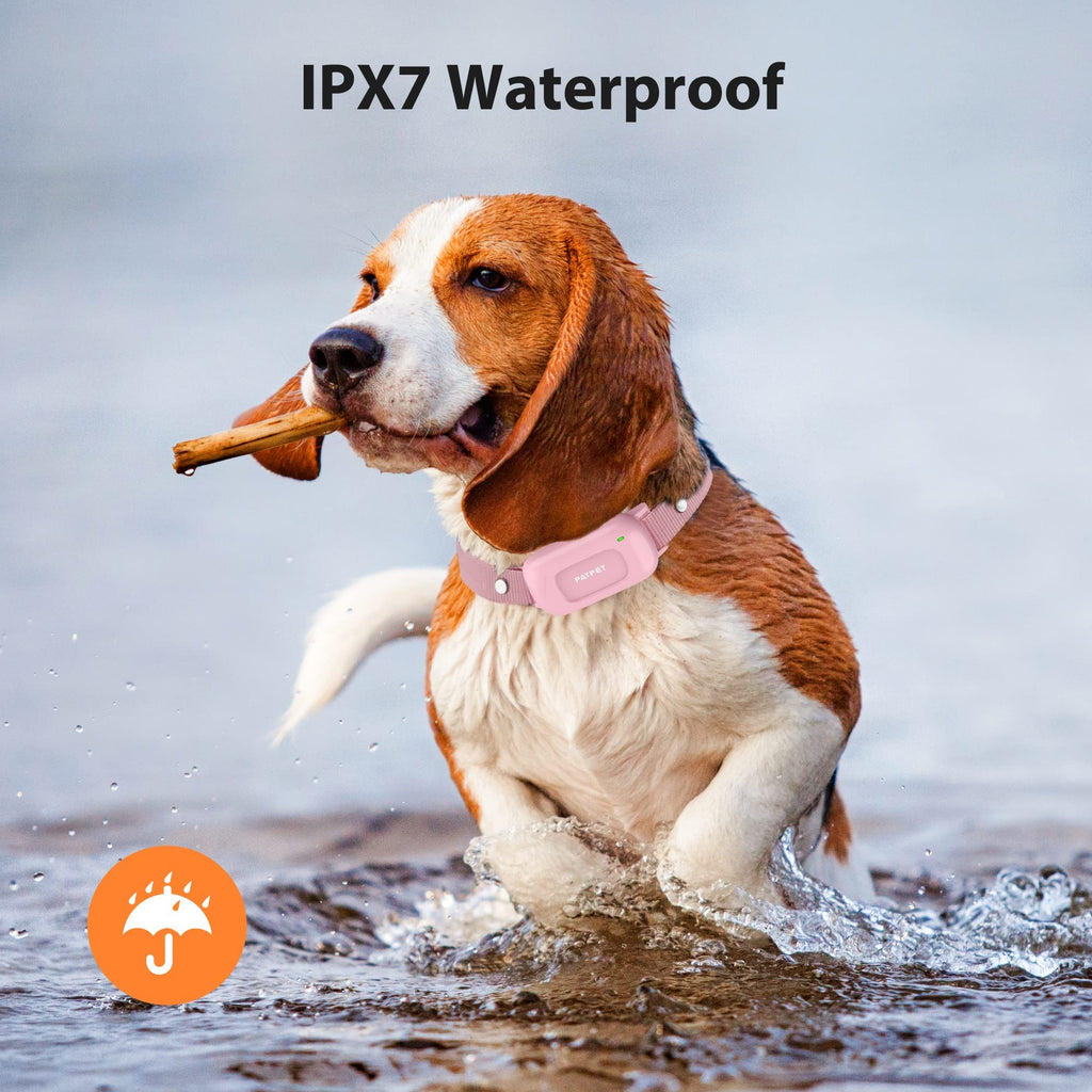 Rechargeable IPX7 Waterproof Dog Training Collar with Remote H4445