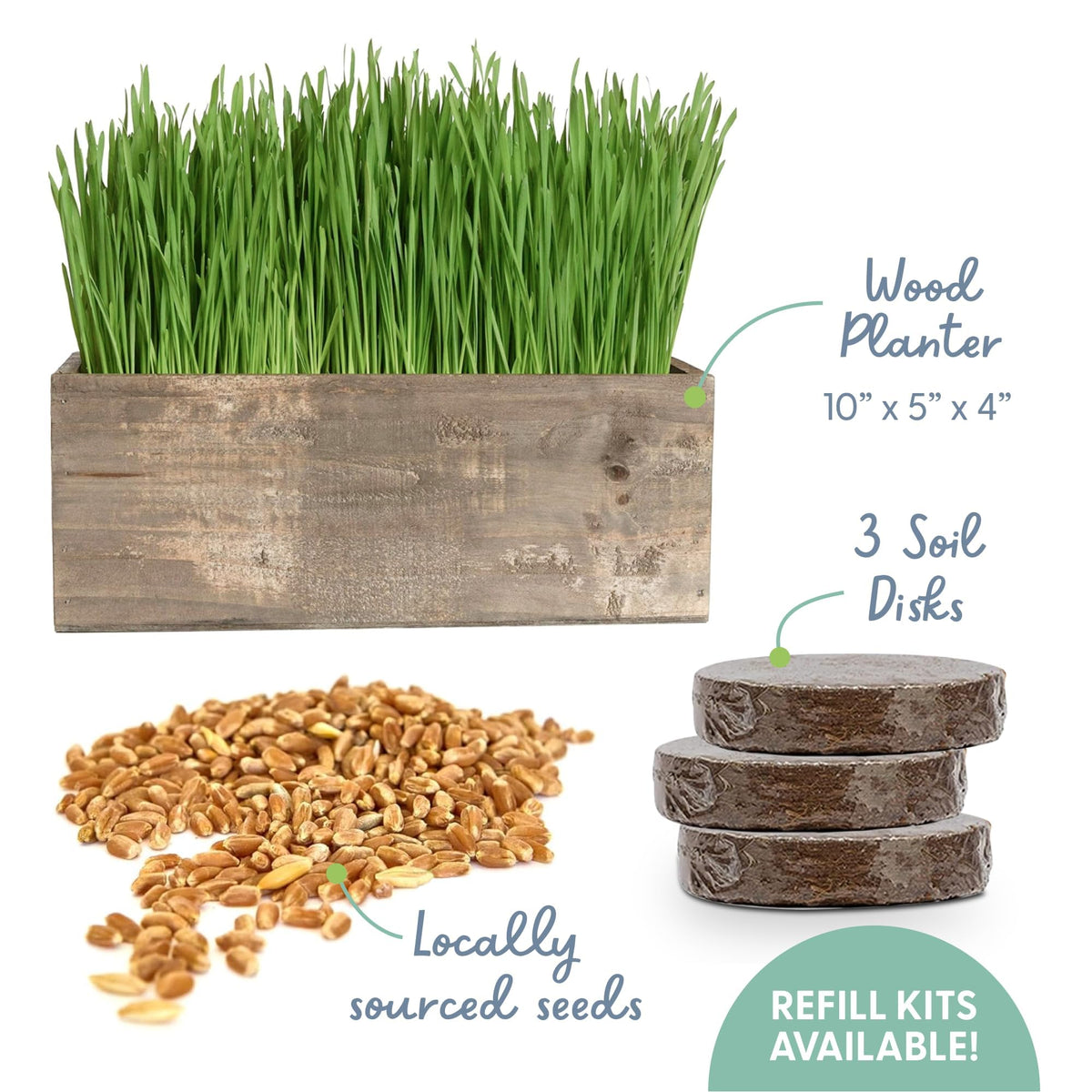 Cat Grass Kit with Wood Planter, Organic Seed and Soil N523