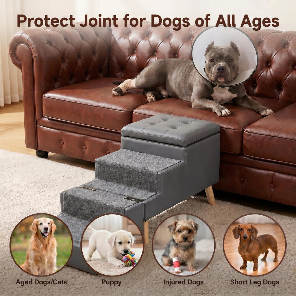 Leather Dog Stairs J642581