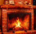 Black Single Panel Wrought Iron Fireplace Screen Z3999